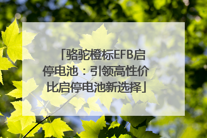 骆驼橙标EFB启停电池：引领高性价比启停电池新选择