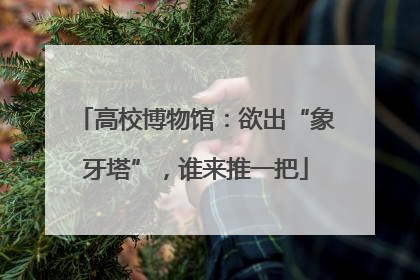 高校博物馆：欲出“象牙塔”，谁来推一把