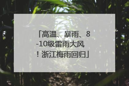 高温、暴雨、8-10级雷雨大风！浙江梅雨回归