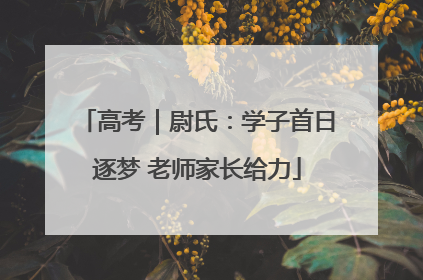 高考｜尉氏：学子首日逐梦 老师家长给力