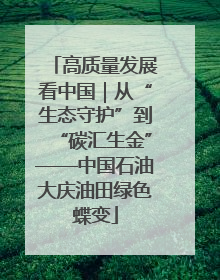 高质量发展看中国｜从“生态守护”到“碳汇生金”——中国石油大庆油田绿色蝶变