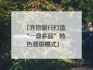 齐鲁银行打造“一县多品”特色普惠模式