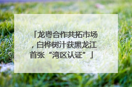 龙粤合作共拓市场，白桦树汁获黑龙江首张“湾区认证”