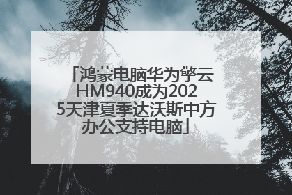 鸿蒙电脑华为擎云 HM940成为2025天津夏季达沃斯中方办公支持电脑