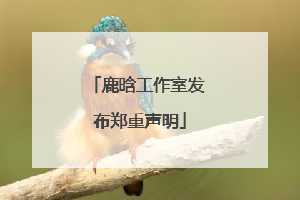 鹿晗工作室发布郑重声明