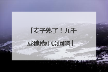 麦子熟了！九千载稼穑中原回响