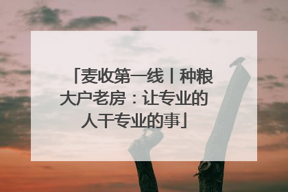 麦收第一线丨种粮大户老房：让专业的人干专业的事