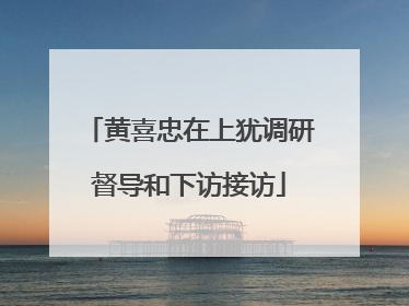 黄喜忠在上犹调研督导和下访接访