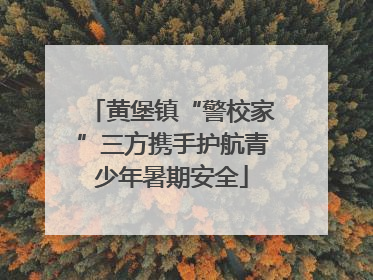 黄堡镇“警校家”三方携手护航青少年暑期安全