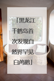 黑龙江千鹤岛首次发现自然界罕见白鸬鹚