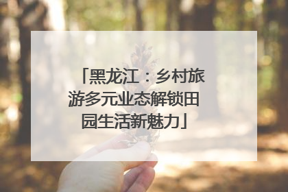 黑龙江：乡村旅游多元业态解锁田园生活新魅力