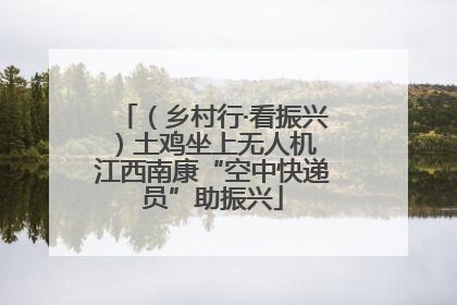 （乡村行·看振兴）土鸡坐上无人机 江西南康“空中快递员”助振兴