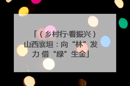 （乡村行·看振兴）山西襄垣：向“林”发力 借“绿”生金