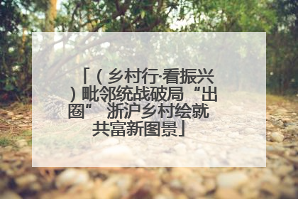 （乡村行·看振兴）毗邻统战破局“出圈” 浙沪乡村绘就共富新图景