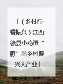 （乡村行·看振兴）江西赣县小鸡蛋“孵”出乡村振兴大产业