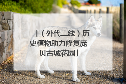 （外代二线）历史植物助力修复庞贝古城花园