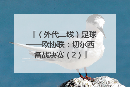 （外代二线）足球——欧协联：切尔西备战决赛（2）