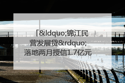 “锦江民营发展贷”落地两月授信1.7亿元，惠及118家民企