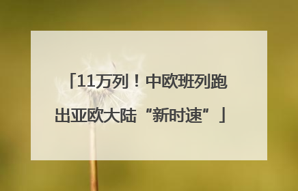 11万列！中欧班列跑出亚欧大陆“新时速”