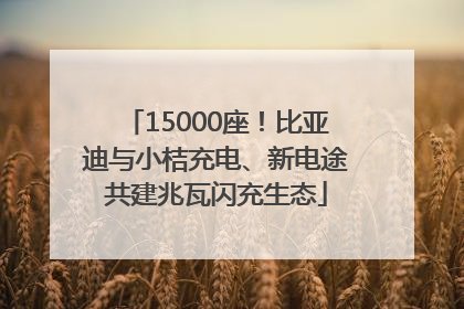 15000座！比亚迪与小桔充电、新电途共建兆瓦闪充生态