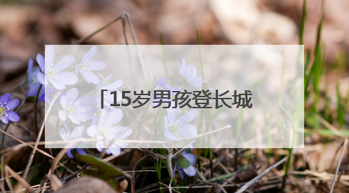15岁男孩登长城摔倒受伤，消防员用担架高效转移