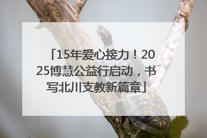 15年爱心接力！2025博慧公益行启动，书写北川支教新篇章