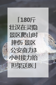 180斤壮汉在灵隐景区爬山时摔伤 景区公安奋力3小时接力抬担架送医