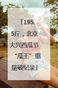 195.5斤，北京大兴西瓜节“瓜王”重量破纪录