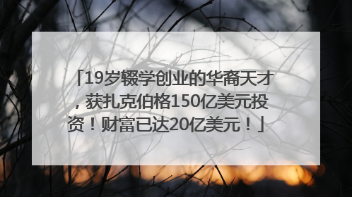 19岁辍学创业的华裔天才，获扎克伯格150亿美元投资！财富已达20亿美元！
