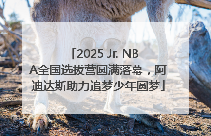 2025 Jr. NBA全国选拔营圆满落幕，阿迪达斯助力追梦少年圆梦