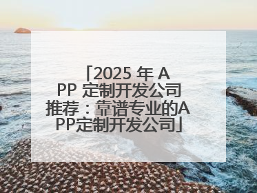 2025 年 APP 定制开发公司推荐：靠谱专业的APP定制开发公司