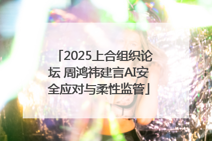 2025上合组织论坛 周鸿祎建言AI安全应对与柔性监管