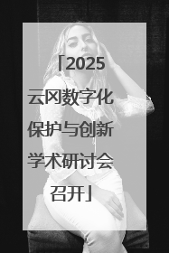 2025云冈数字化保护与创新学术研讨会召开