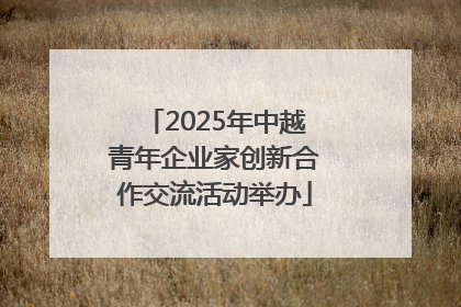 2025年中越青年企业家创新合作交流活动举办