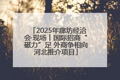 2025年廊坊经洽会·现场丨国际招商“磁力”足 外商争相向河北推介项目