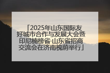2025年山东国际友好城市合作与发展大会暨印尼楠榜省·山东省招商交流会在济南槐荫举行