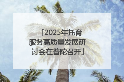2025年托育服务高质量发展研讨会在普陀召开