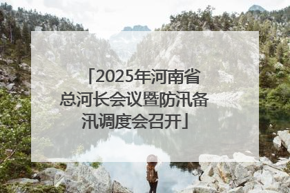 2025年河南省总河长会议暨防汛备汛调度会召开