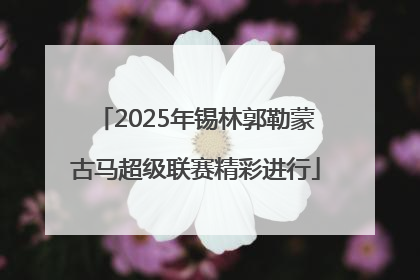 2025年锡林郭勒蒙古马超级联赛精彩进行