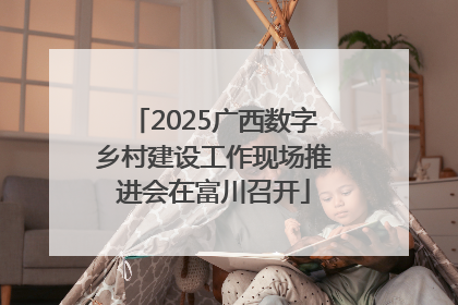 2025广西数字乡村建设工作现场推进会在富川召开
