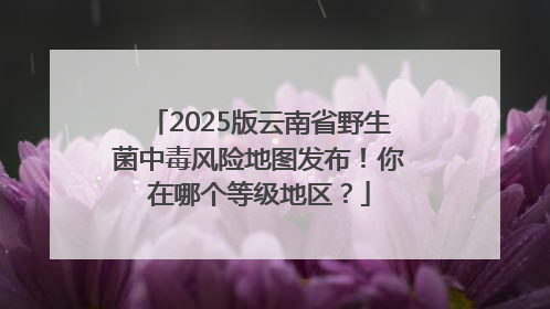 2025版云南省野生菌中毒风险地图发布！你在哪个等级地区？