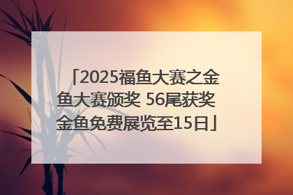 2025福鱼大赛之金鱼大赛颁奖 56尾获奖金鱼免费展览至15日