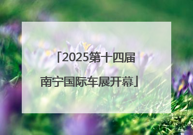 2025第十四届南宁国际车展开幕