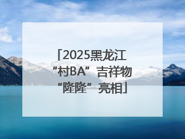 2025黑龙江“村BA”吉祥物“隆隆”亮相