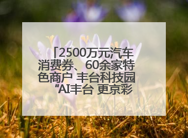 2500万元汽车消费券、60余家特色商户 丰台科技园“AI丰台 更京彩”未来玩家市集活动正式开幕