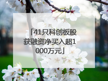 41只科创板股获融资净买入超1000万元