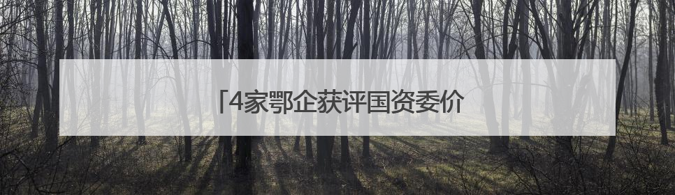 4家鄂企获评国资委价值创造行动优秀案例