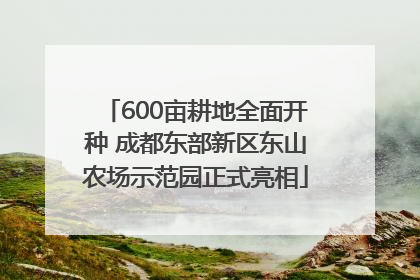 600亩耕地全面开种 成都东部新区东山农场示范园正式亮相