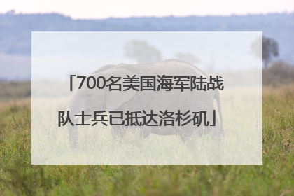 700名美国海军陆战队士兵已抵达洛杉矶