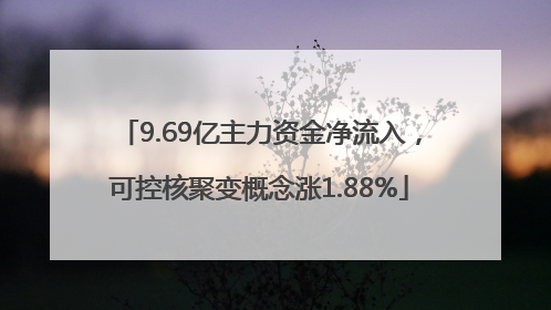 9.69亿主力资金净流入，可控核聚变概念涨1.88%
